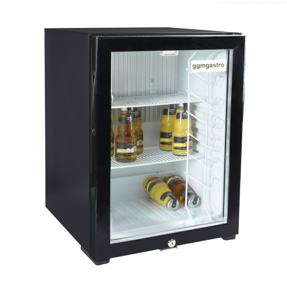Мини-холодильник (1 стекл.дверь / объем: 30 л) GGM Gastro - 5